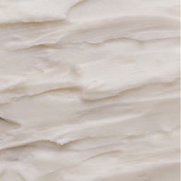 Essential Membership 